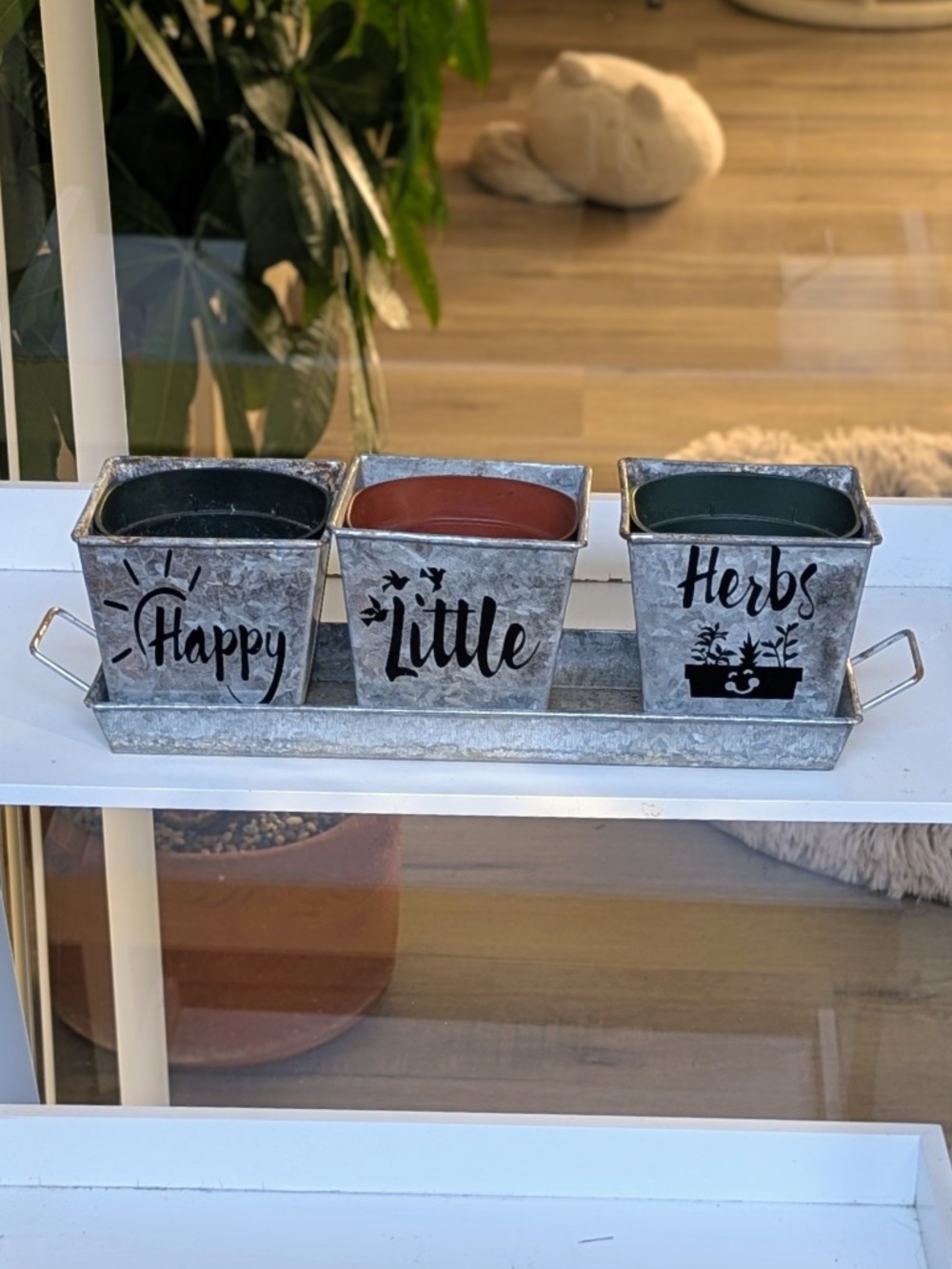 Windowsill herb garden planter with tray and drainage holes